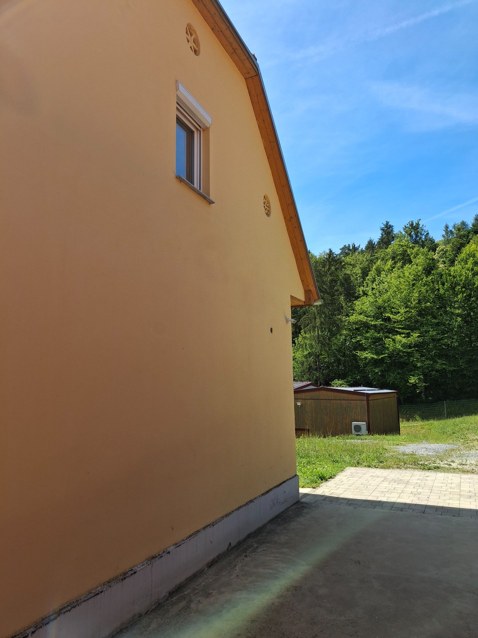 LETEČI PES